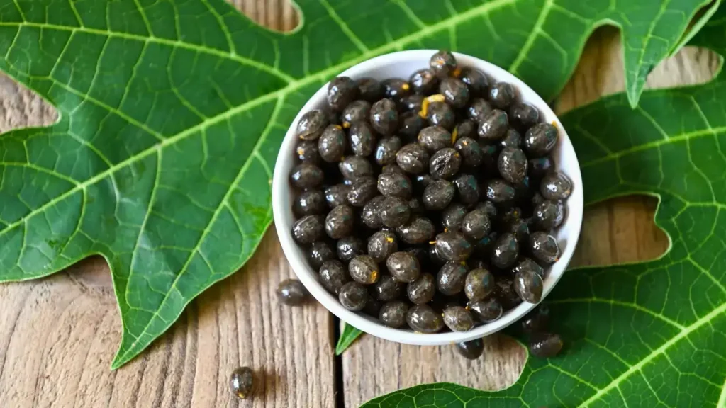 Graines de Papaye : Leurs Incroyables Bienfaits Révélés en 2025 + Utilisations 3 Graines de papaye fraîches noires et brillantes à côté d'une tranche de papaye orange vif.
