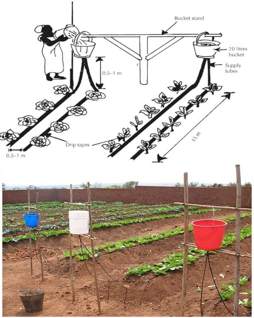 Révolutionnez Votre Jardin : Le Guide ULTIME 2025 du Système d'irrigation goutte à goutte Chapin 2 Femme installant un système d'irrigation goutte à goutte Chapin dans son potager surélevé