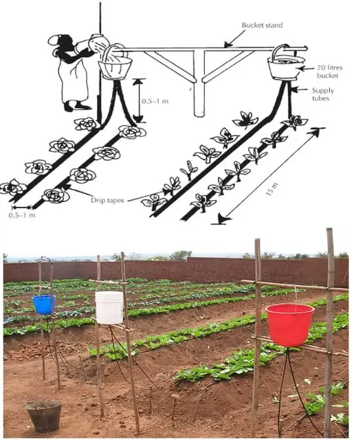 Femme installant un système d'irrigation goutte à goutte Chapin dans son potager surélevé