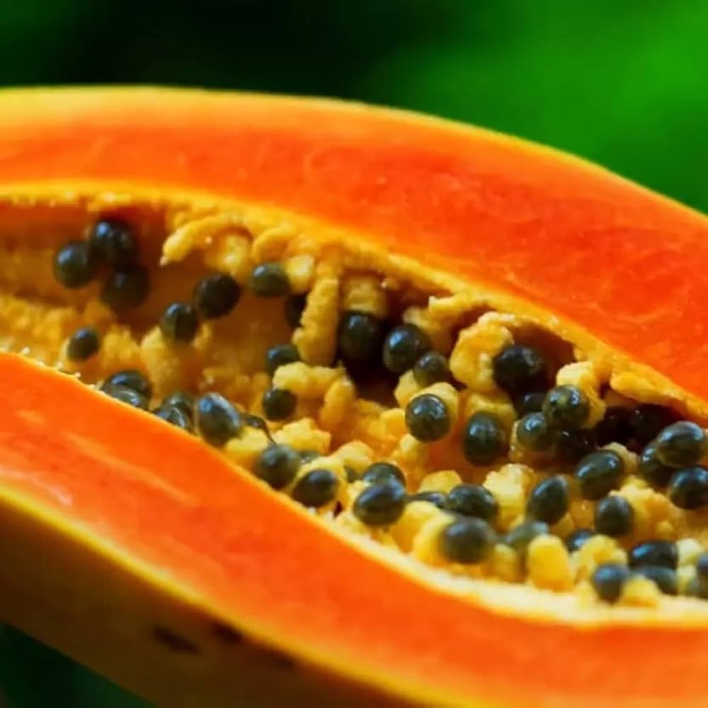 Graines de Papaye : Leurs Incroyables Bienfaits Révélés en 2025 + Utilisations 2 Graines de papaye fraîches noires et brillantes à côté d'une tranche de papaye orange vif.