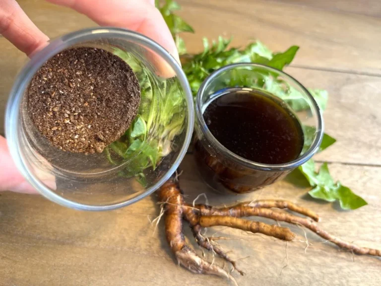 Tasse fumante de Café racine de pissenlit, une alternative saine et sans caféine.