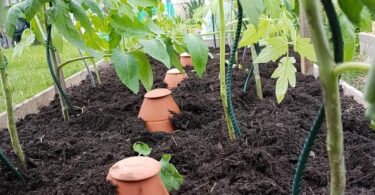 Ollas de jardinage