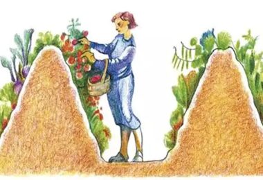 Butte de Hugelkultur en pente bien construite et plantée, illustrant les avantages des buttes de Hugelkultur en pente.
