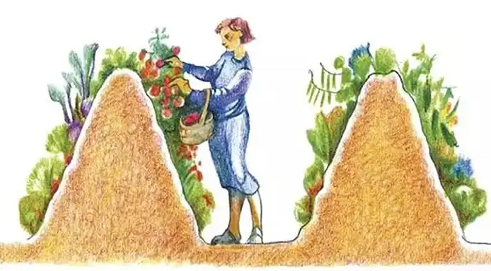 Butte de Hugelkultur en pente bien construite et plantée, illustrant les avantages des buttes de Hugelkultur en pente.