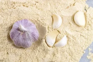Poudre d'Ail pour Orchidées : La Solution Miracle 5 garlic pouder