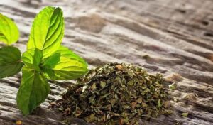 Sécher la Menthe : Le Guide Ultime + 5 Erreurs à Éviter Absolument ! 3 sécher la menthe