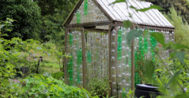 Construire une Serre en Bouteilles Plastique