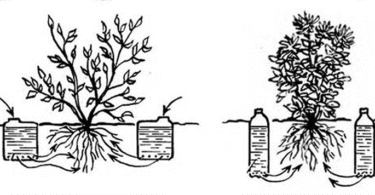 Arrosage Bouteille Plastique