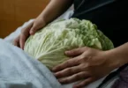 Application d'un cataplasme de feuilles de chou sur la poitrine pour un soulagement naturel de la congestion bronchique