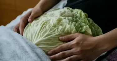 Application d'un cataplasme de feuilles de chou sur la poitrine pour un soulagement naturel de la congestion bronchique