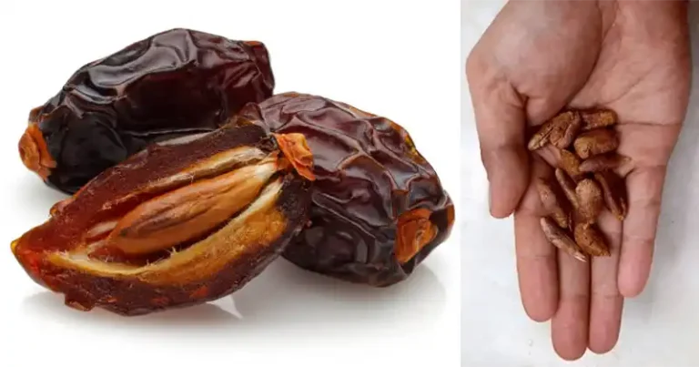 Ne jetez pas les noyaux de dattes – voici pourquoi ils sont si puissants