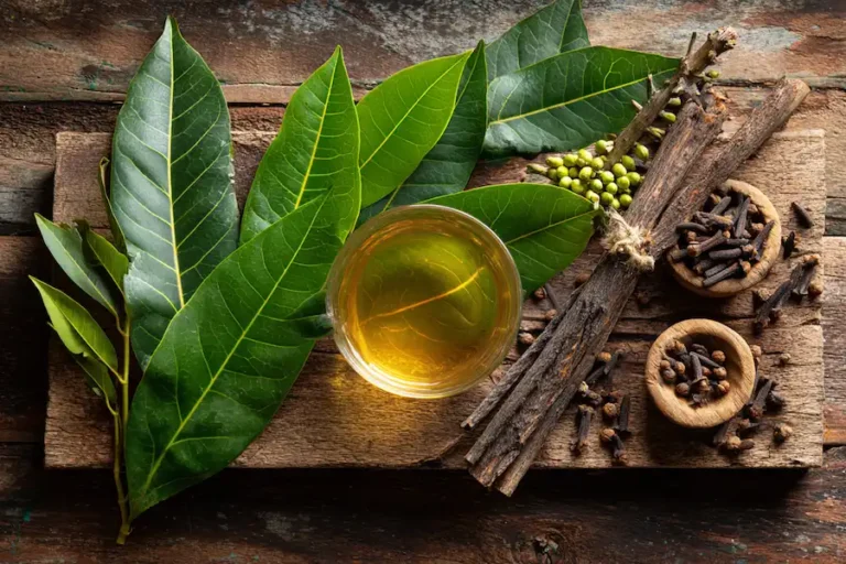 Comment préparer du thé aux feuilles de mangue et aux clous de girofle – Un puissant remède naturel pour le bien-être
