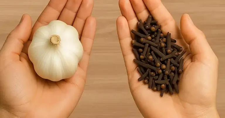 Une astuce simple à l’ail et au clou de girofle pour éloigner naturellement les parasites
