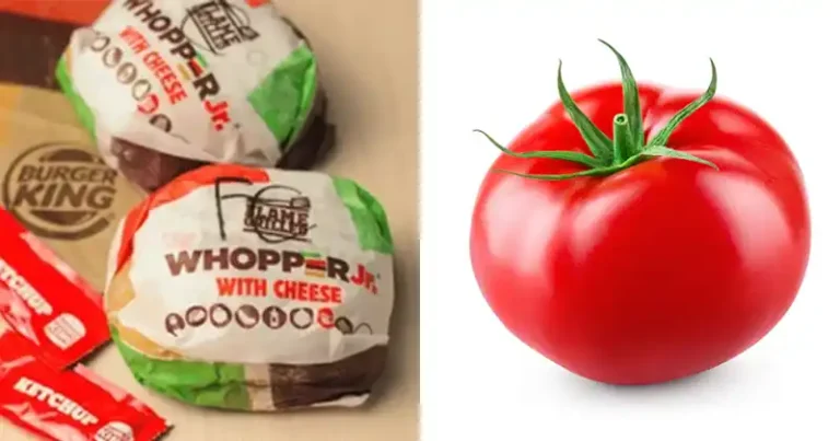 Que se passe-t-il lorsque vous faites pousser une tomate à partir d’une tranche de Whopper Burger King ?