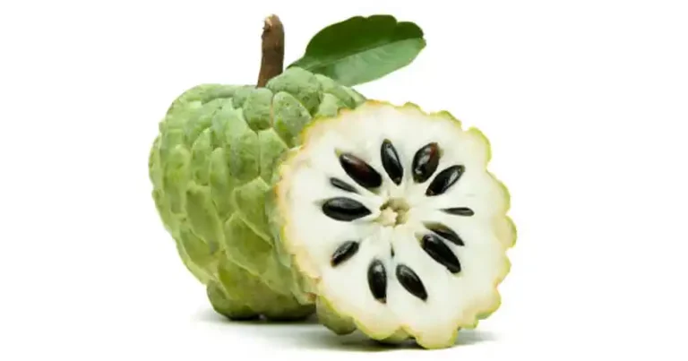 Pomme à sucre (Annona squamosa) : un fruit sucré aux puissants bienfaits pour la santé