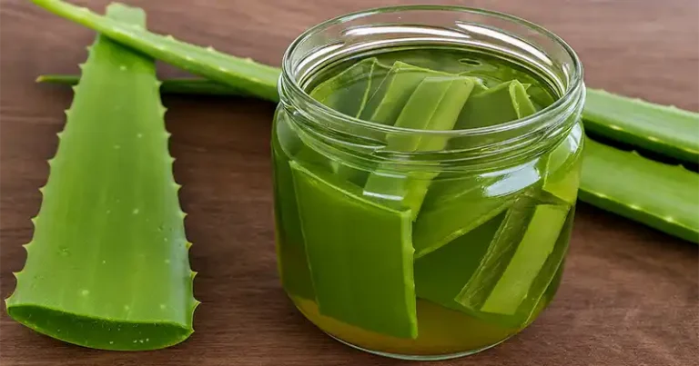 Le gel d’aloe vera n’est pas le seul très utile