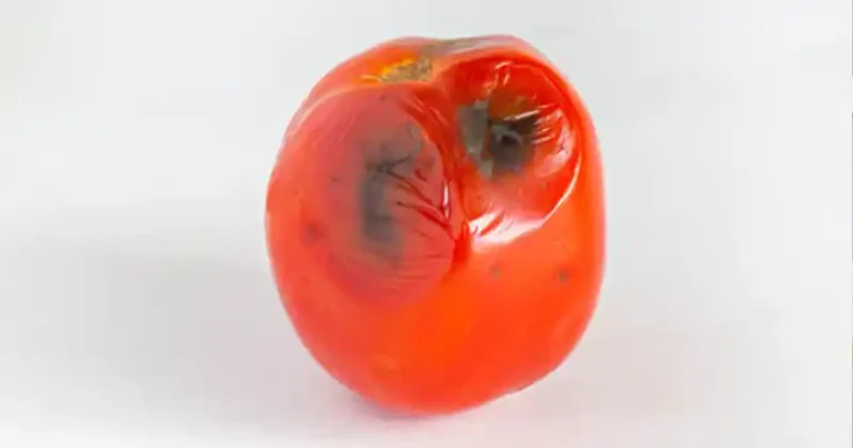 Ne jetez pas les tomates pourries : 3 façons surprenantes de les transformer en trésor