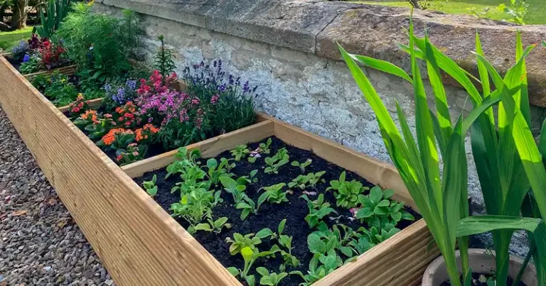Transformez naturellement le sol de votre jardin : le guide ultime étape par étape pour dynamiser les plates-bandes pour une croissance abondante